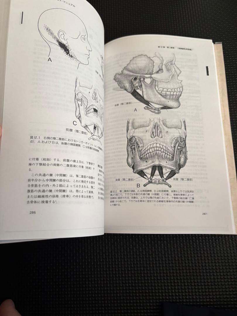 トリガーポイントマニュアル　筋膜痛と機能障害　第一巻　頭頸部編　値上げ予定